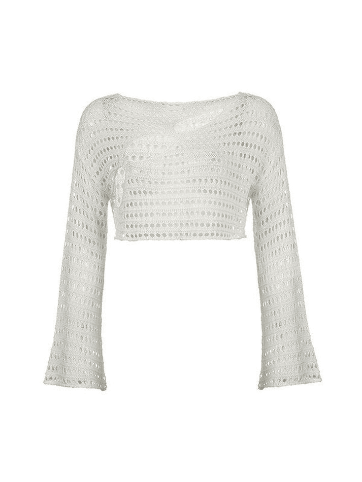 Hollow Out Long Sleeve Knit Crop Top - AnotherChill