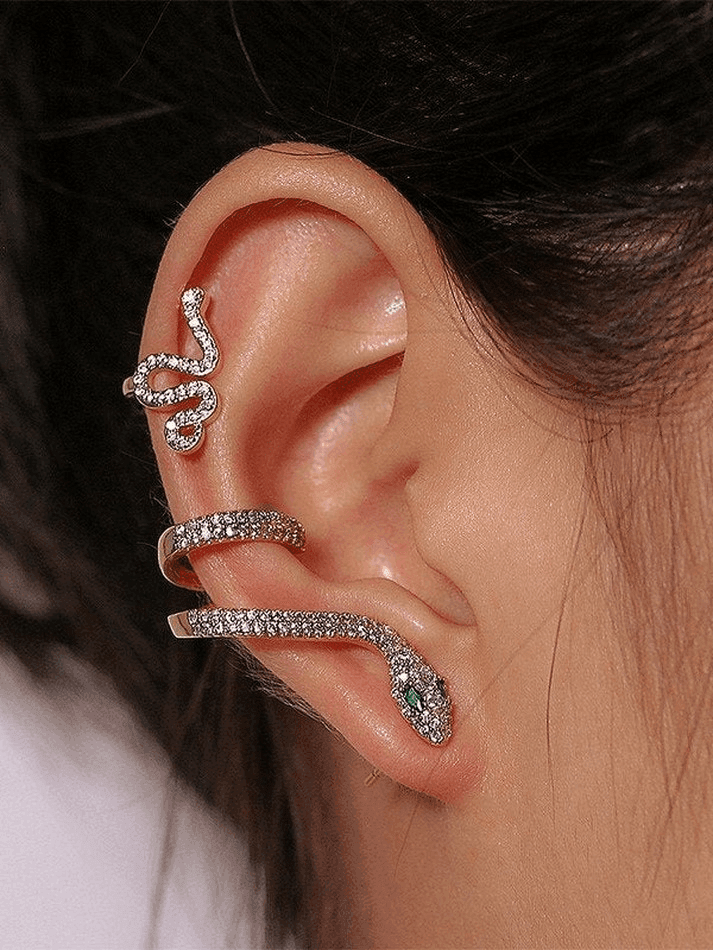 Rhinestone Snake Pattern Stud Earring - AnotherChill