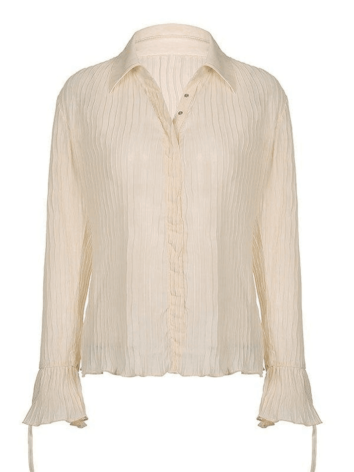 Semi Sheer Long Sleeve Pleated Blouse - AnotherChill