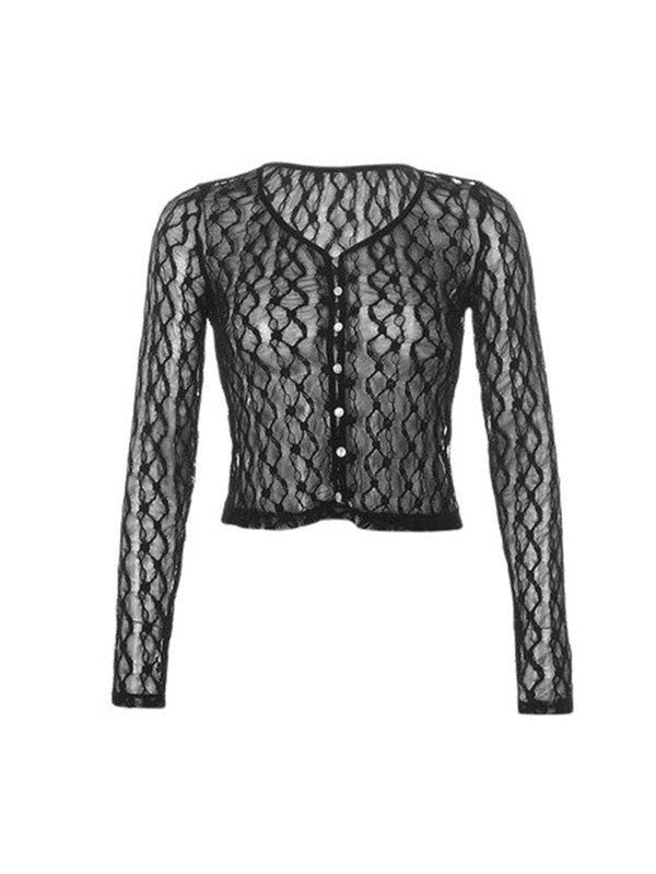 Sheer Lace Long Sleeve Crop Blouse - AnotherChill
