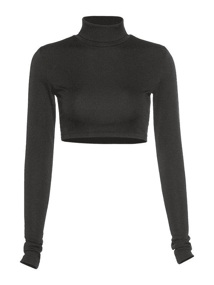 Turtleneck Long Sleeve Crop Top AnotherChill