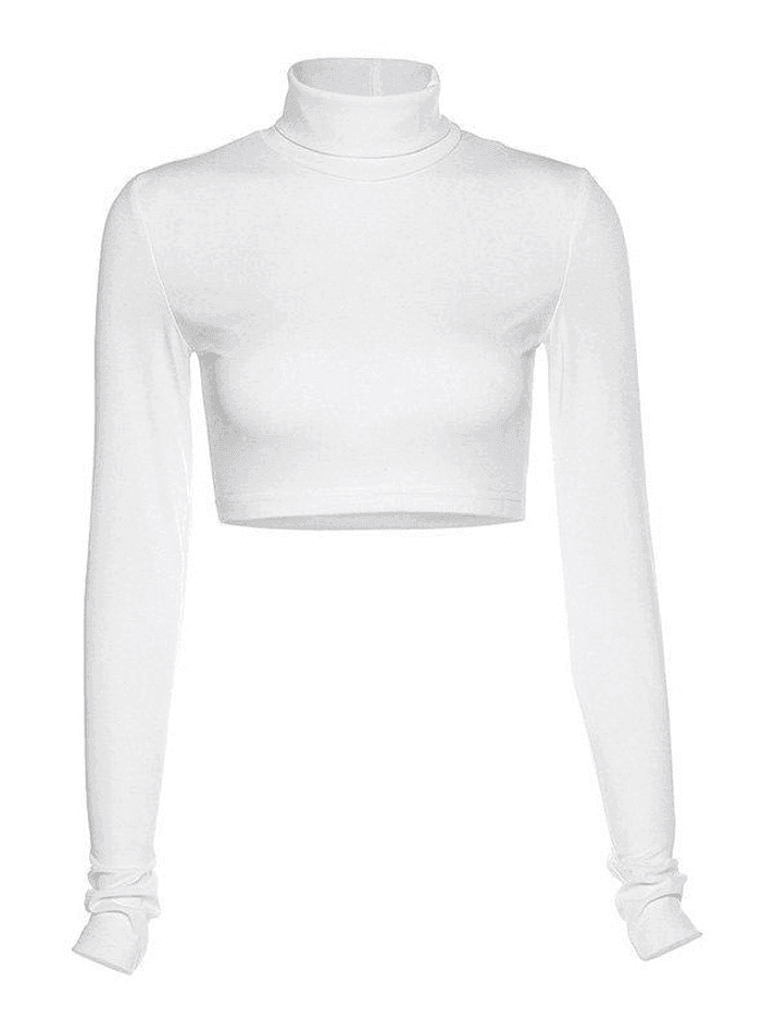 Turtleneck Long Sleeve Crop Top AnotherChill